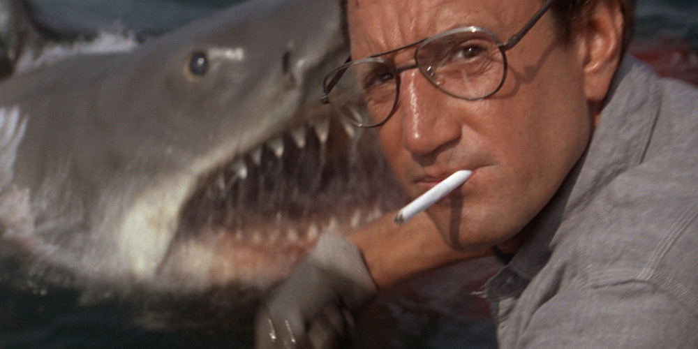 The shark attack to the little kid in Jaws is the Plot Point 1 or Turning Point 1 of the movie.